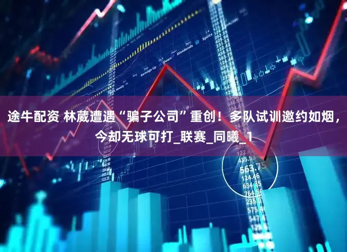 途牛配资 林葳遭遇“骗子公司”重创！多队试训邀约如烟，今却无球可打_联赛_同曦_1